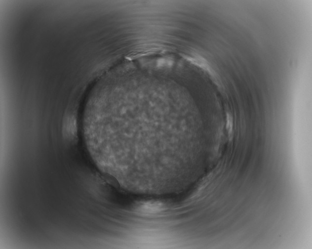 X0000089750500200707051817