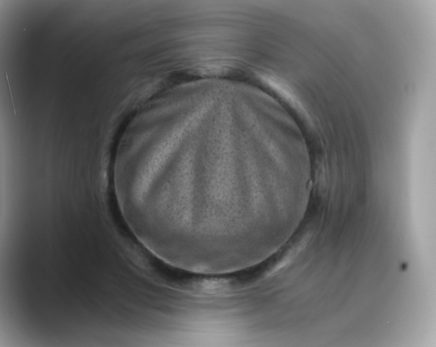 X0000089750501200707051817