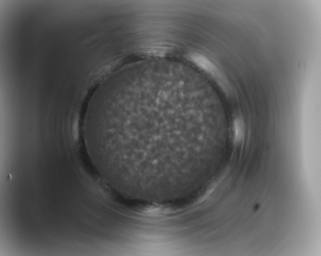 X0000089750504200707051817