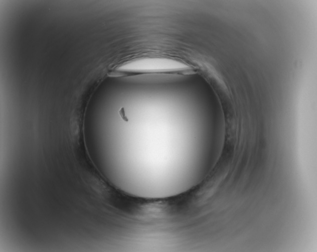 X0000089750505200707051817