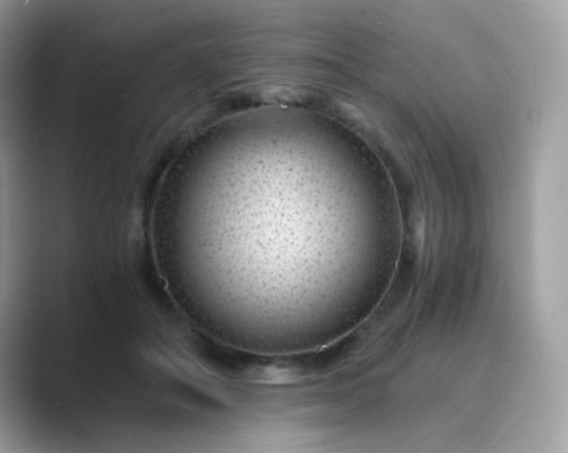 X0000089750506200707051817