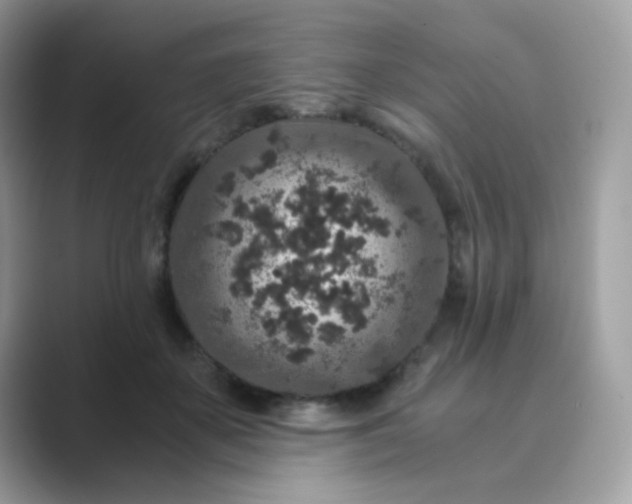 X0000089750507200707051817