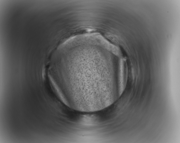 X0000089750508200707051817