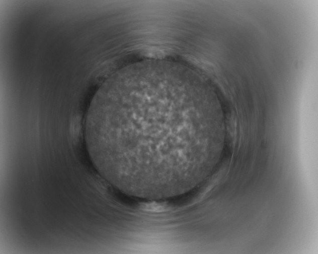 X0000089750511200707051817