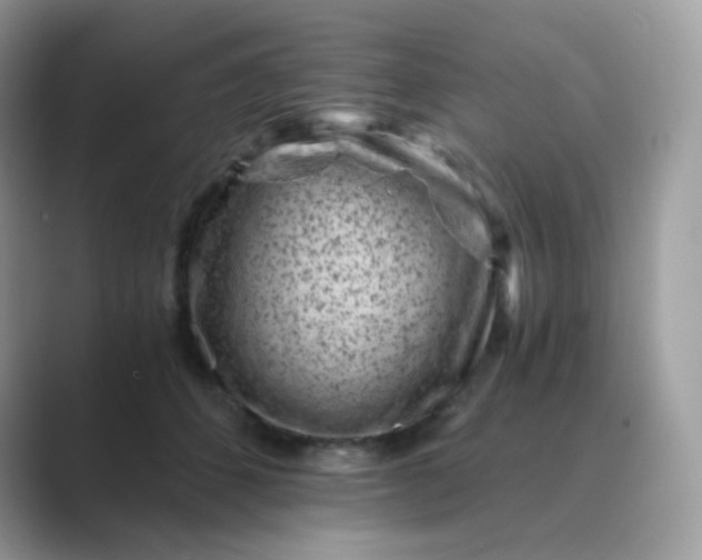 X0000089750512200707051817