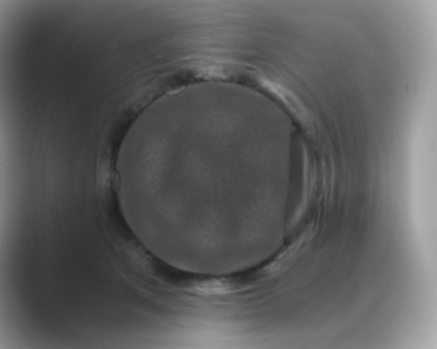 X0000089750513200707051817