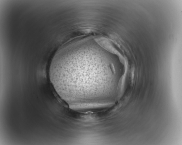 X0000089750516200707051817