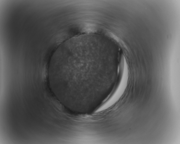 X0000089750517200707051817