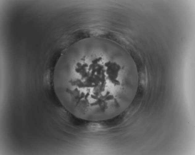 X0000089750519200707051817