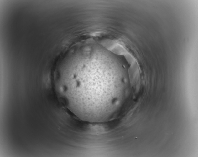 X0000089750520200707051817