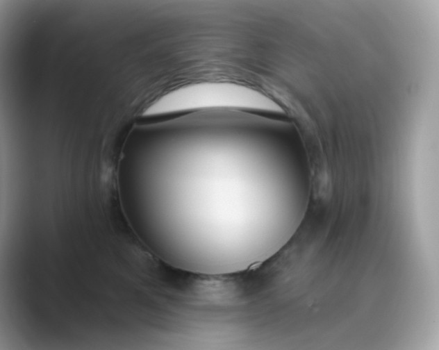 X0000089750521200707051817