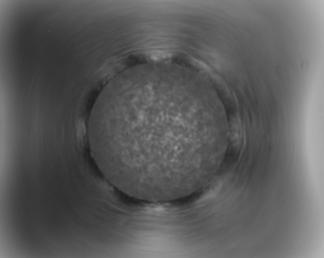 X0000089750523200707051817