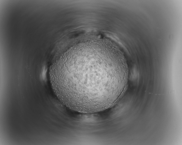 X0000089750524200707051817