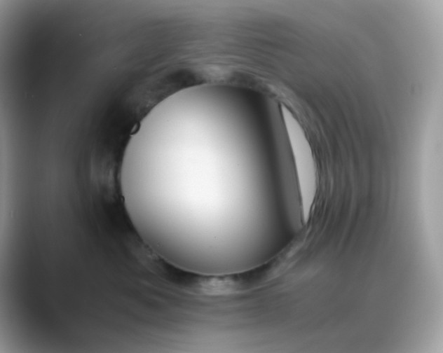 X0000089750525200707051817