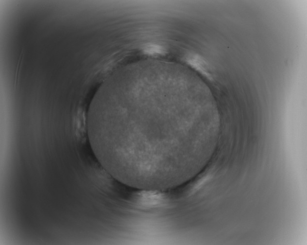 X0000089750528200707051817