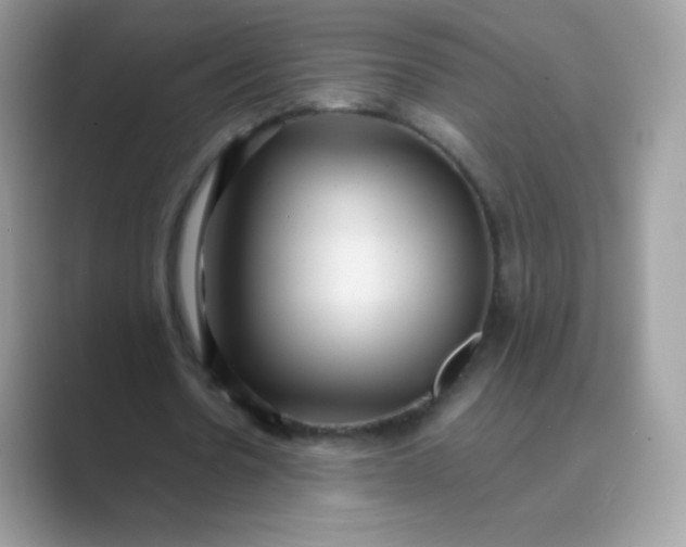 X0000089750530200707051817