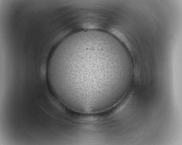 X0000089750533200707051817