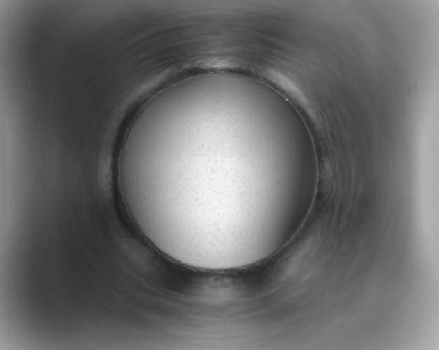 X0000089750535200707051817