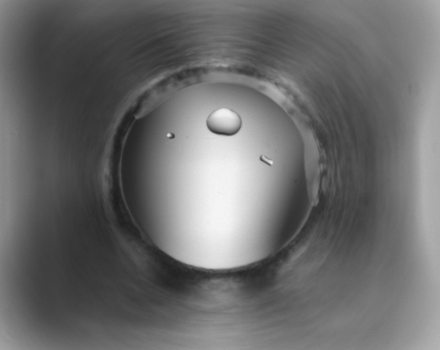 X0000089750536200707051817