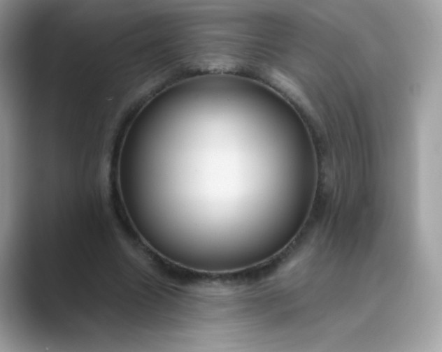 X0000089750538200707051817