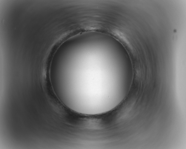 X0000089750539200707051817