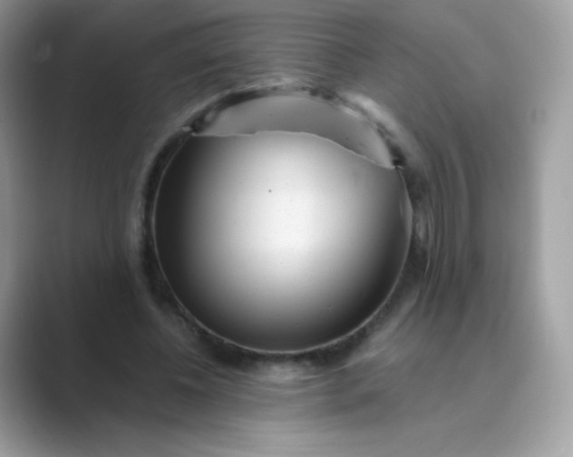 X0000089750540200707051817