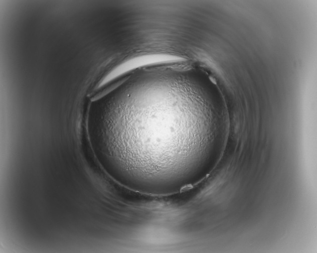 X0000089750542200707051817