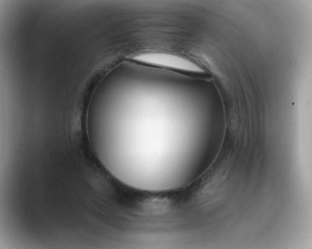 X0000089750543200707051817