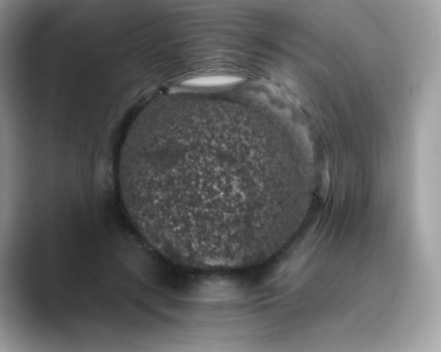 X0000089750547200707051817