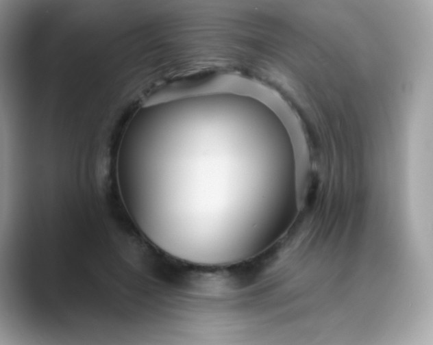 X0000089750548200707051817