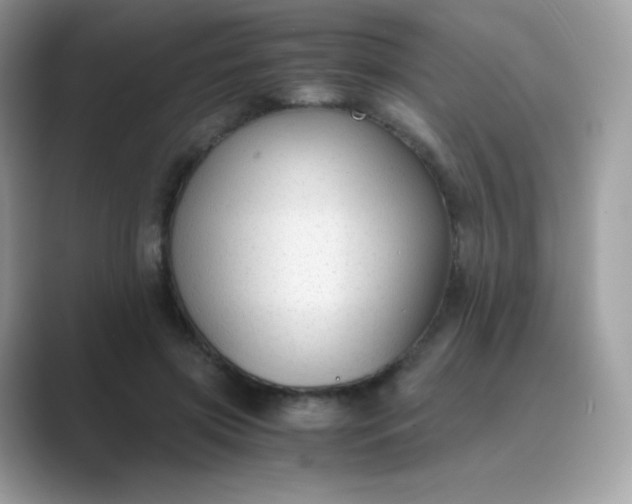 X0000089750549200707051817