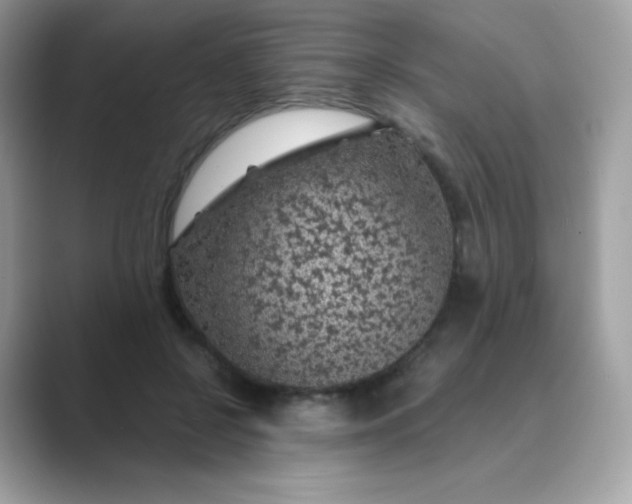 X0000089750550200707051817