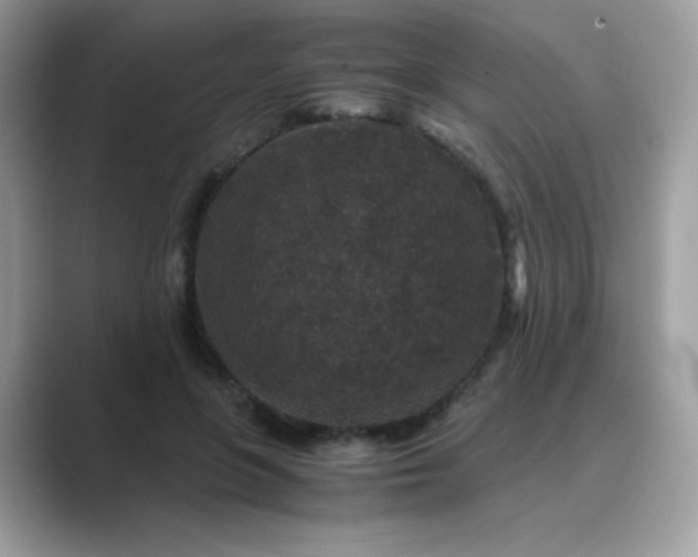 X0000089750551200707051817