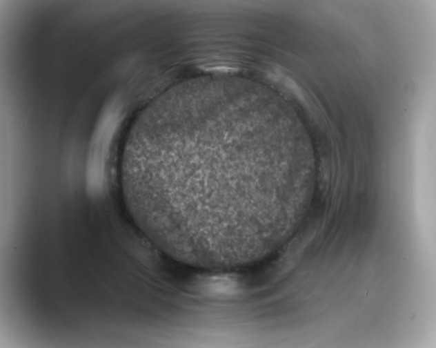 X0000089750553200707051817