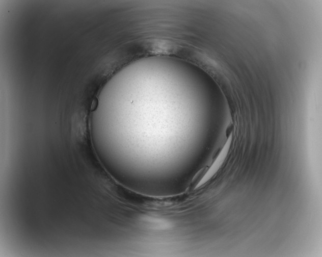 X0000089750554200707051817