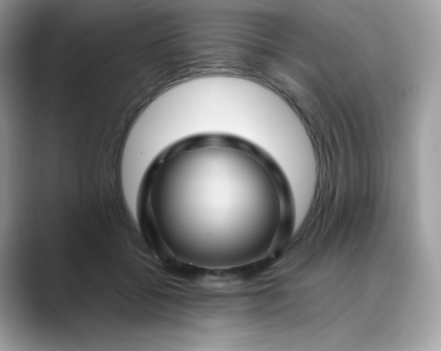 X0000089750556200707051817