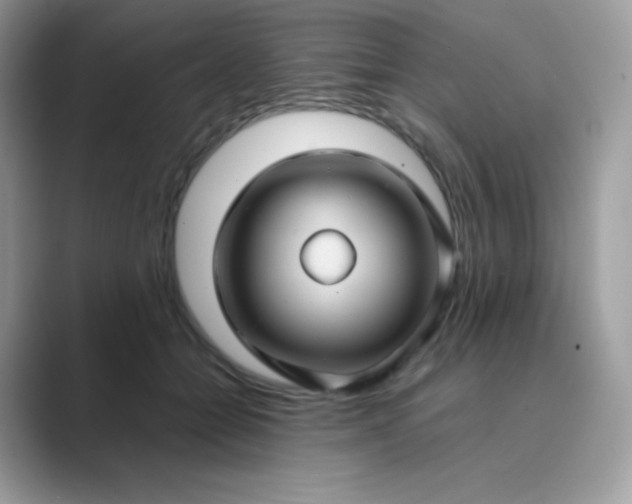 X0000089750558200707051817