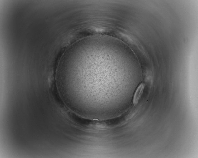 X0000089750559200707051817