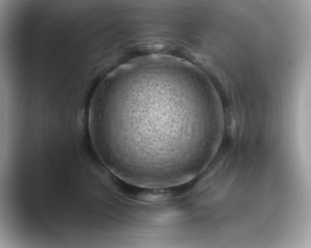 X0000089750563200707051817