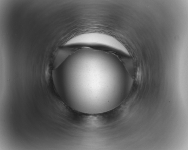 X0000089750566200707051817