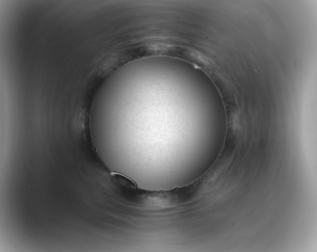 X0000089750567200707051817