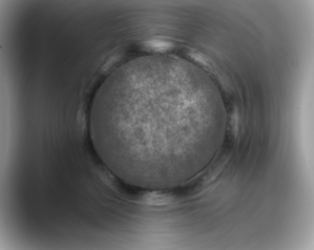 X0000089750568200707051817