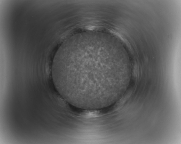 X0000089750569200707051817