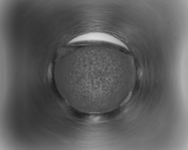 X0000089750570200707051817