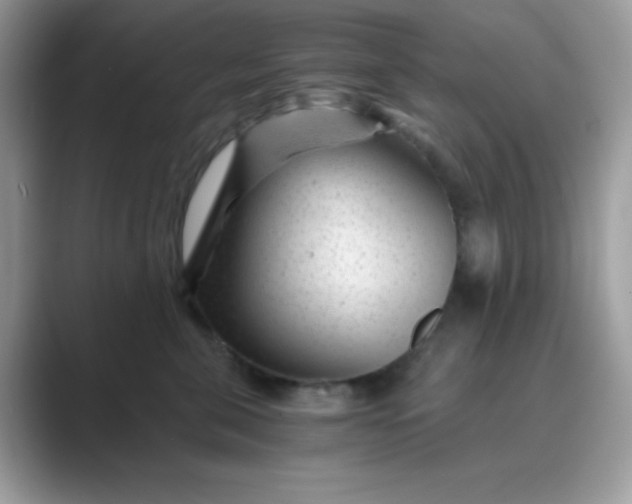 X0000089750571200707051817