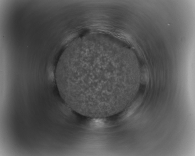 X0000089750573200707051817