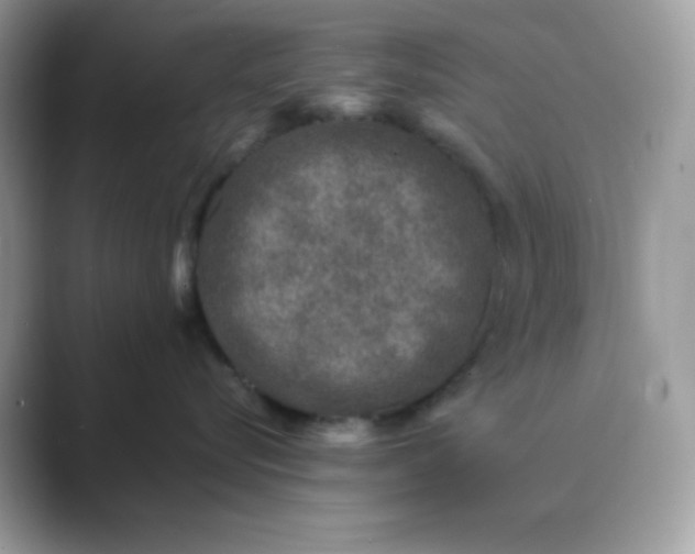 X0000089750576200707051817