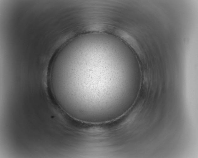 X0000089750578200707051817