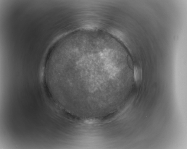 X0000089750579200707051817