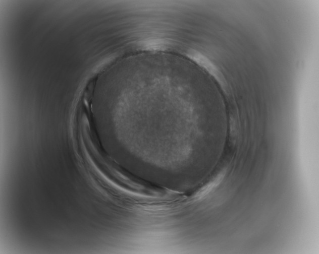 X0000089750581200707051817